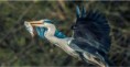 200mm f2/8 ISO 100